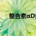 整合素αDβ2（关于整合素αDβ2简介）