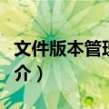 文件版本管理系统（关于文件版本管理系统简介）