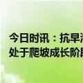 今日时讯：抗早泄国产药物上市市场有多大 抗早泄药物市场处于爬坡成长阶段