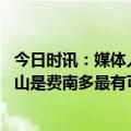 今日时讯：媒体人归化球员费南多将返回中国 媒体人山东泰山是费南多最有可能的下家但需要接受试训