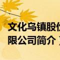 文化乌镇股份有限公司（关于文化乌镇股份有限公司简介）