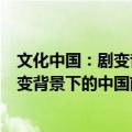 文化中国：剧变背景下的中国前沿论辩（关于文化中国：剧变背景下的中国前沿论辩简介）