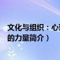 文化与组织：心理软件的力量（关于文化与组织：心理软件的力量简介）