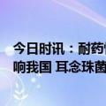 今日时讯：耐药性强病死率高蔓延美国的耳念珠菌是否会影响我国 耳念珠菌感染之后有什么症状