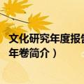 文化研究年度报告 2011年卷（关于文化研究年度报告 2011年卷简介）