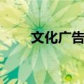 文化广告学（关于文化广告学简介）