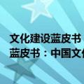 文化建设蓝皮书：中国文化发展报告(2018)（关于文化建设蓝皮书：中国文化发展报告(2018)简介）