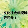 文化社会学视域中的文化史（关于文化社会学视域中的文化史简介）