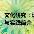 文化研究：理论与实践（关于文化研究：理论与实践简介）