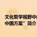 文化哲学视野中的“中国方案”（关于文化哲学视野中的“中国方案”简介）