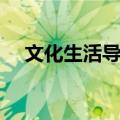 文化生活导学（关于文化生活导学简介）