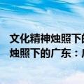 文化精神烛照下的广东：广东文化发展30年（关于文化精神烛照下的广东：广东文化发展30年简介）