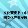 文化蓝皮书：中国文化产业发展报告（关于文化蓝皮书：中国文化产业发展报告简介）