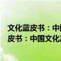 文化蓝皮书：中国文化产业供需协调检测报告（关于文化蓝皮书：中国文化产业供需协调检测报告简介）