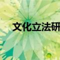 文化立法研究（关于文化立法研究简介）