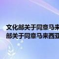 文化部关于同意马来西亚歌手王光良到江苏徐州演出的批复（关于文化部关于同意马来西亚歌手王光良到江苏徐州演出的批复简介）