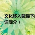 文化移入碰撞下的三重意识（关于文化移入碰撞下的三重意识简介）