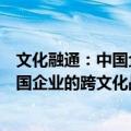 文化融通：中国企业的跨文化战略思维（关于文化融通：中国企业的跨文化战略思维简介）