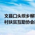 文县口头坝乡柳家村扶贫互助协会（关于文县口头坝乡柳家村扶贫互助协会简介）