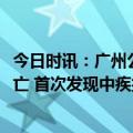 今日时讯：广州公布2月传染病疫情数据除新冠外共152例死亡 首次发现中疾控新发现34例本土重点关注变异株