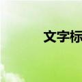 文字标志（关于文字标志简介）