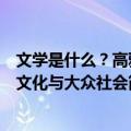 文学是什么？高雅文化与大众社会（关于文学是什么？高雅文化与大众社会简介）