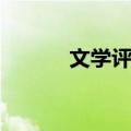 文学评价（关于文学评价简介）