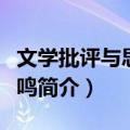 文学批评与思想争鸣（关于文学批评与思想争鸣简介）