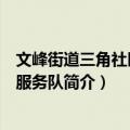 文峰街道三角社区志愿服务队（关于文峰街道三角社区志愿服务队简介）