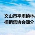 文山市平坝镇林果种植销售协会（关于文山市平坝镇林果种植销售协会简介）