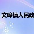 文峰镇人民政府（关于文峰镇人民政府简介）