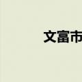 文富市镇（关于文富市镇简介）