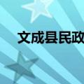 文成县民政局（关于文成县民政局简介）