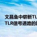 文昌鱼中崭新TLR信号通路的比较研究（关于文昌鱼中崭新TLR信号通路的比较研究简介）