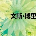 文斯·博里拉（关于文斯·博里拉简介）