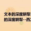 文本的深度耕犁--西方马克思主义经典文本解读（关于文本的深度耕犁--西方马克思主义经典文本解读简介）