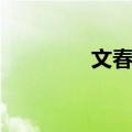 文春晖（关于文春晖简介）