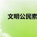 文明公民素质（关于文明公民素质简介）