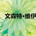 文森特·维伊尔（关于文森特·维伊尔简介）