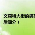 文森特大街的男孩：15年后（关于文森特大街的男孩：15年后简介）