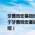 牙菌斑宏基因组文库中新型耐酸基因的筛选及功能研究（关于牙菌斑宏基因组文库中新型耐酸基因的筛选及功能研究介绍）