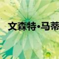 文森特·马蒂尔（关于文森特·马蒂尔简介）