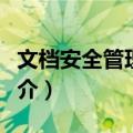 文档安全管理系统（关于文档安全管理系统简介）