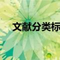 文献分类标准（关于文献分类标准简介）