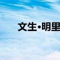 文生·明里尼（关于文生·明里尼简介）