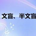 文盲、半文盲率（关于文盲、半文盲率简介）