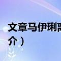 文章马伊琍离婚门（关于文章马伊琍离婚门简介）