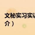 文秘实习实训教程（关于文秘实习实训教程简介）