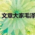 文章大家毛泽东（关于文章大家毛泽东简介）