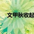 文甲秋收起义（关于文甲秋收起义简介）